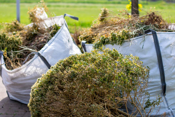 Best Professional Junk Removal  in Hopatcong, NJ